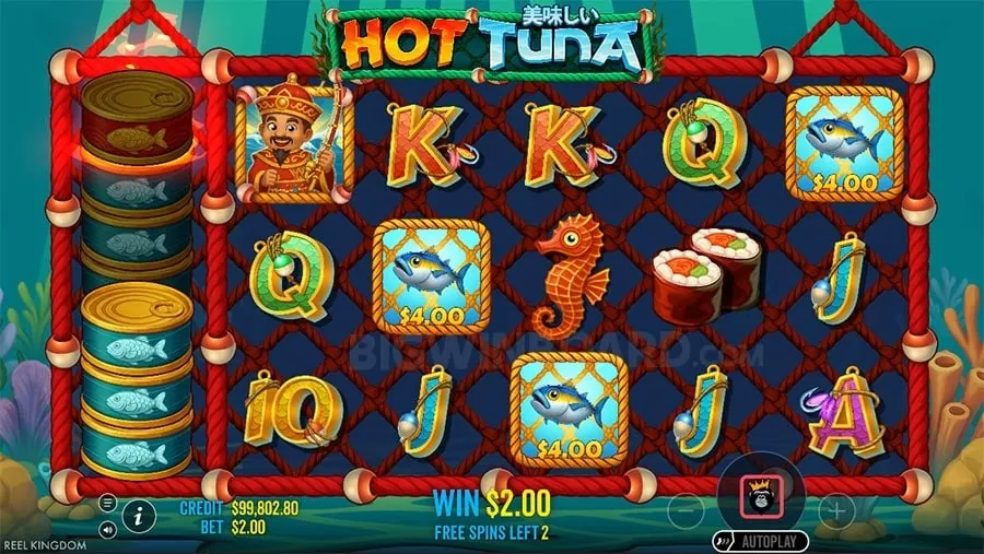 dreamjili Card Counting Myths Debunked